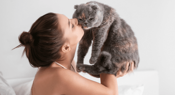 budget-animaux-de-compagnie-francais