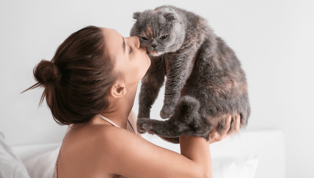 budget-animaux-de-compagnie-francais