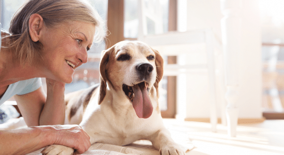 chien-personne-agée