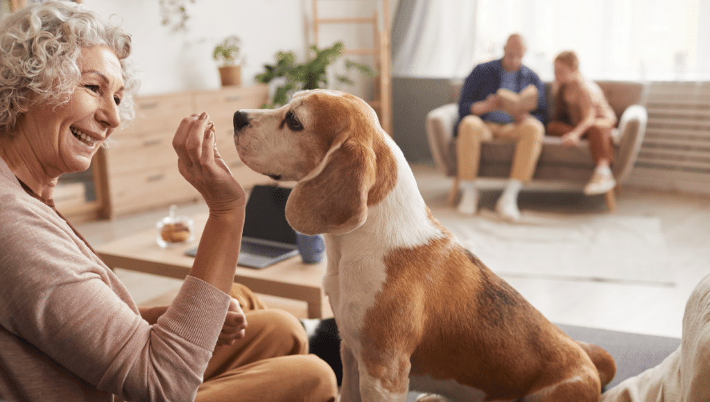 chien-personne-agée