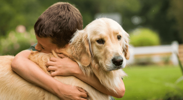 Procès Joël Le Scouarnec-Golden-Retriever-soutient-les-victimes