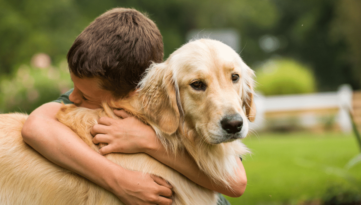 Procès Joël Le Scouarnec-Golden-Retriever-soutient-les-victimes