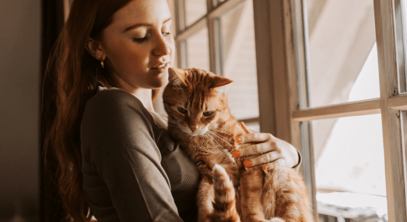 comment-porter-son-chat