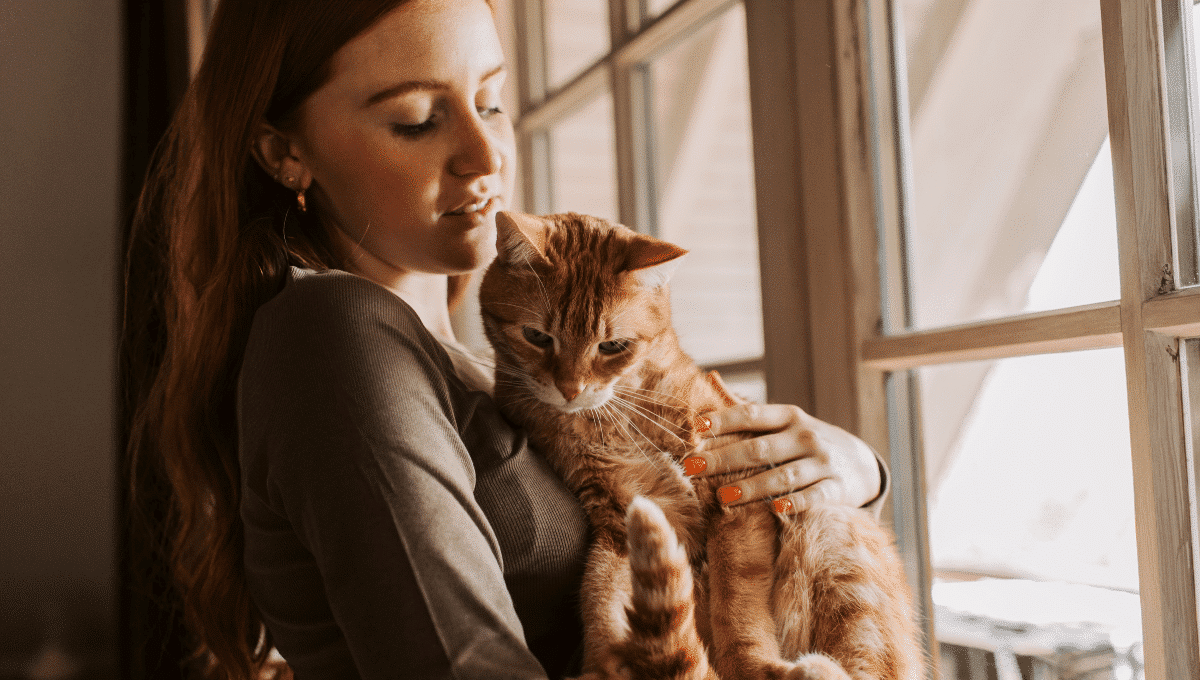 comment-porter-son-chat