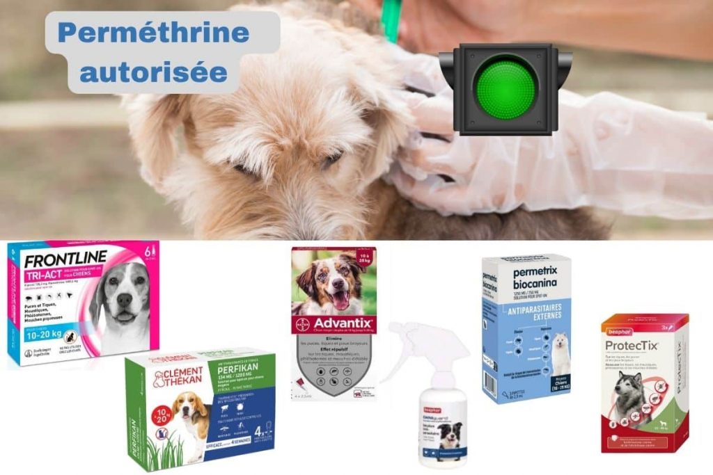 Perméthrine : anti parasitaire externe antipuce antitique pour chien uniquement 