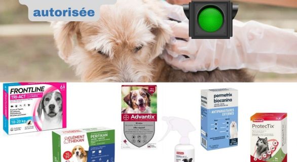 Perméthrine : anti parasitaire externe antipuce antitique pour chien uniquement