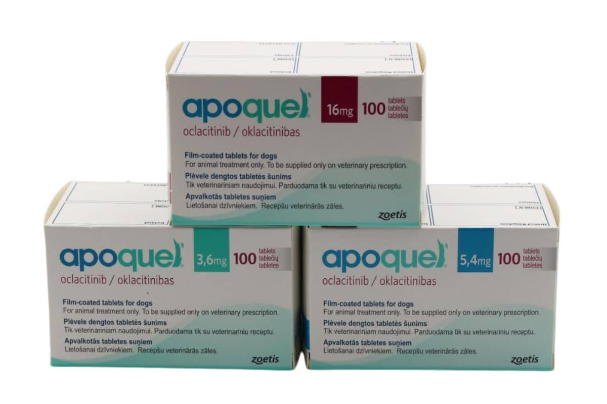 APOQUEL®chien comprimés à croquer 3,6mg- 5,4mg- 16mg