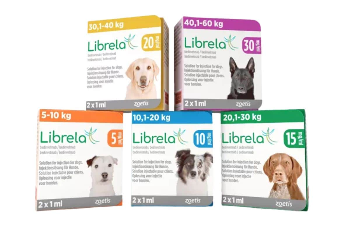 LIBRELA®: Solution injectable contre la douleur arthrosique chez le chien 