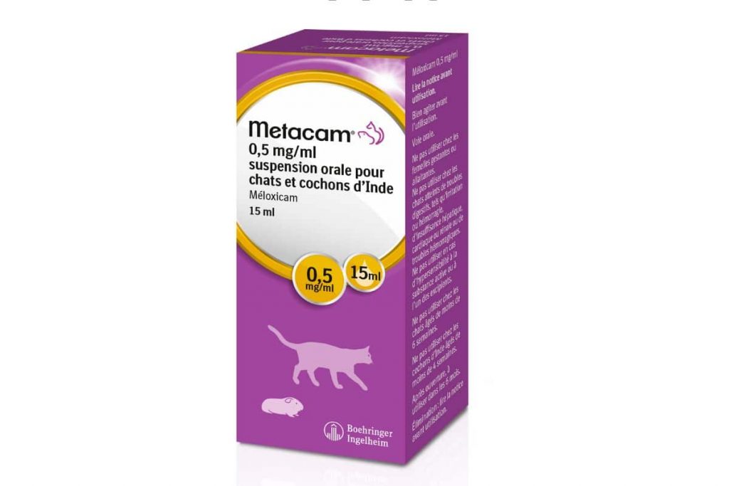 METACAM chat et cochon d'inde 0,5 mgml Suspension orale contre la douleur et l’inflammation METACAM chat et cochon d'inde 0,5 mgml Suspension orale contre la douleur et l’inflammation