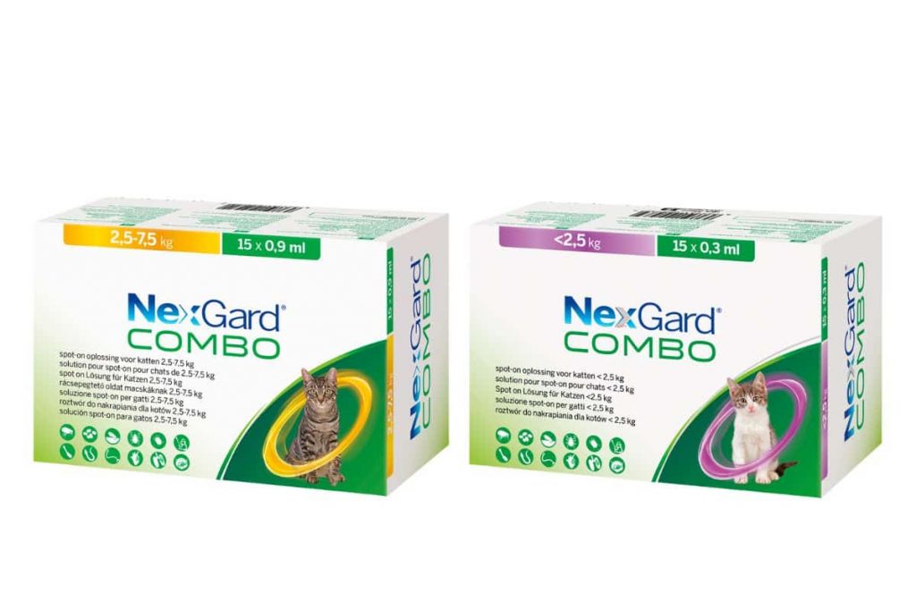 NexGard Combo® chat : Antiparasitaire mixte solution pour spot-on