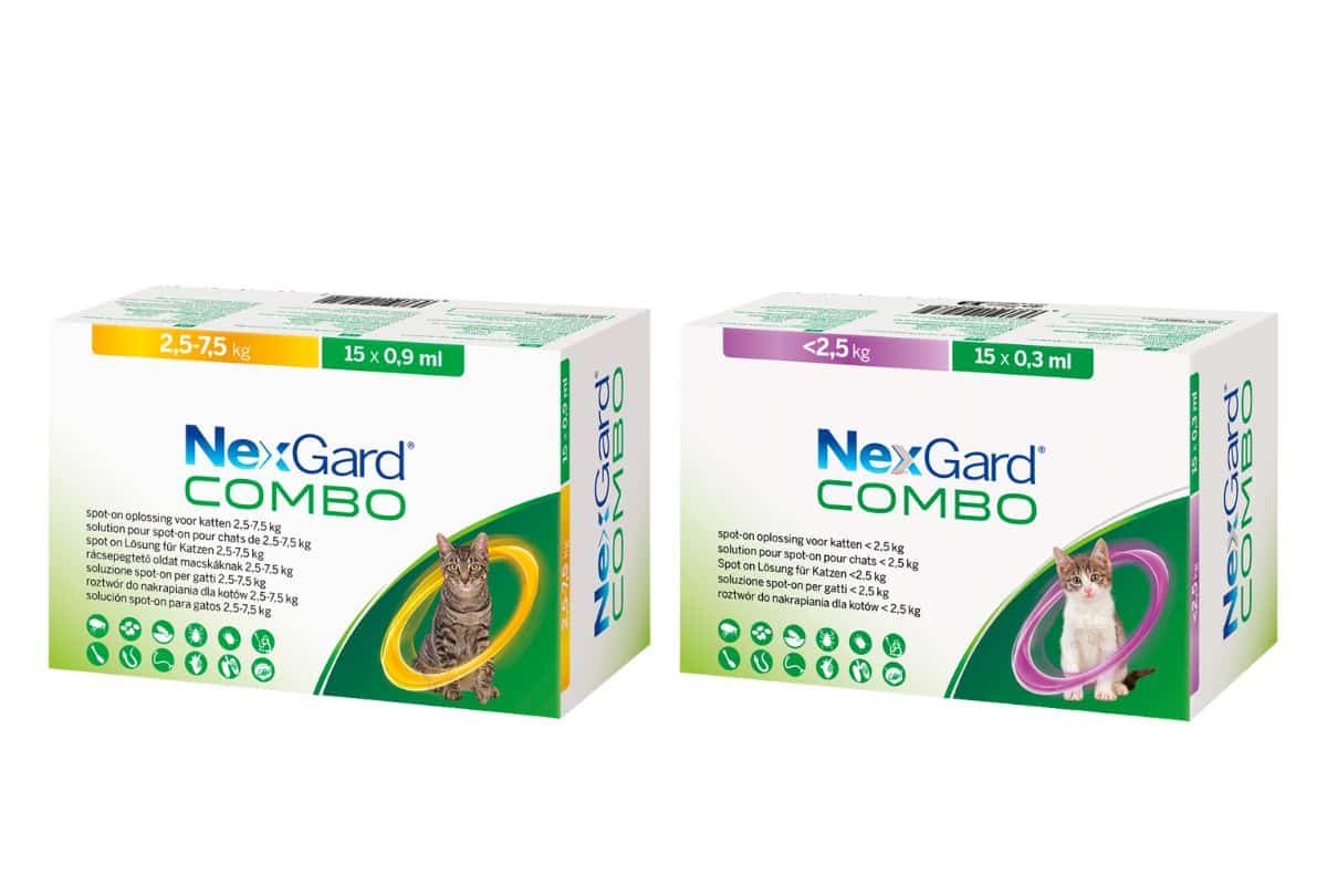 NexGard Combo® chat : Antiparasitaire mixte solution pour spot-on