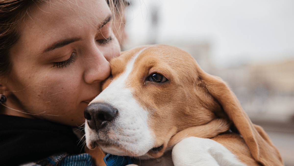 emotions-chien