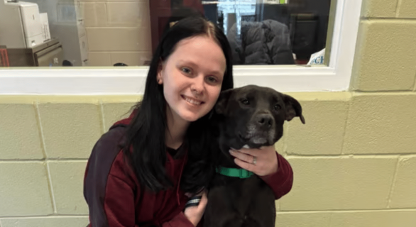 @Brown County Humane Society Dog Shelter