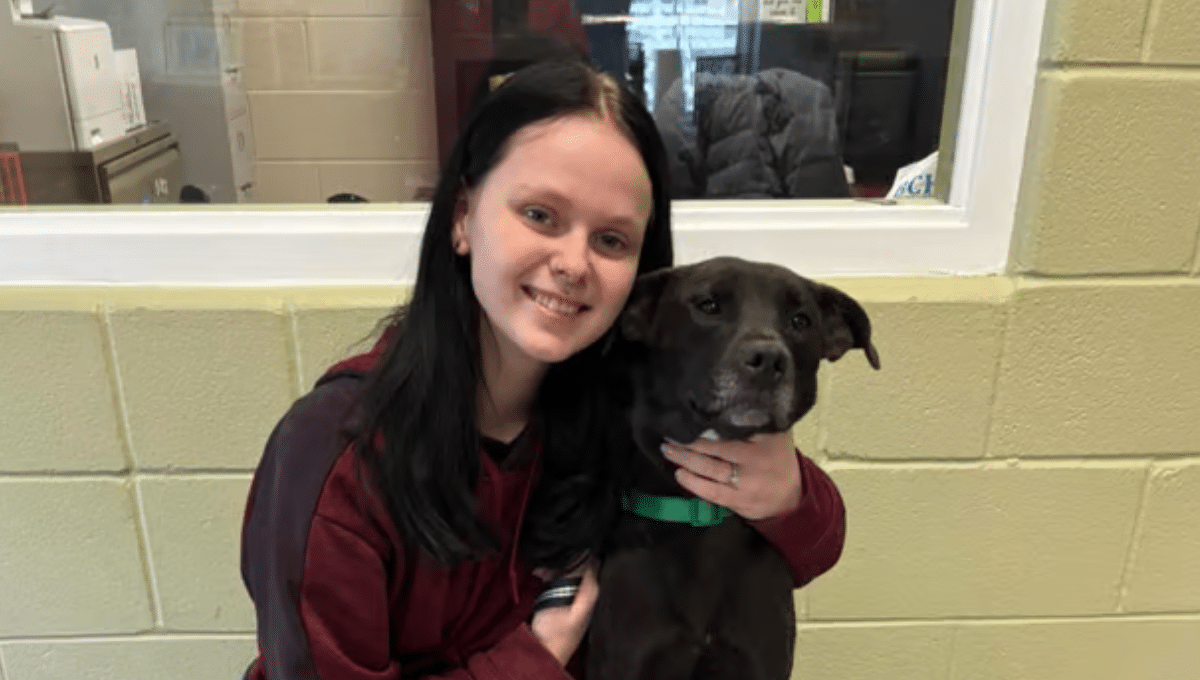 @Brown County Humane Society Dog Shelter