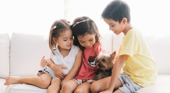 chiot-integration-famille