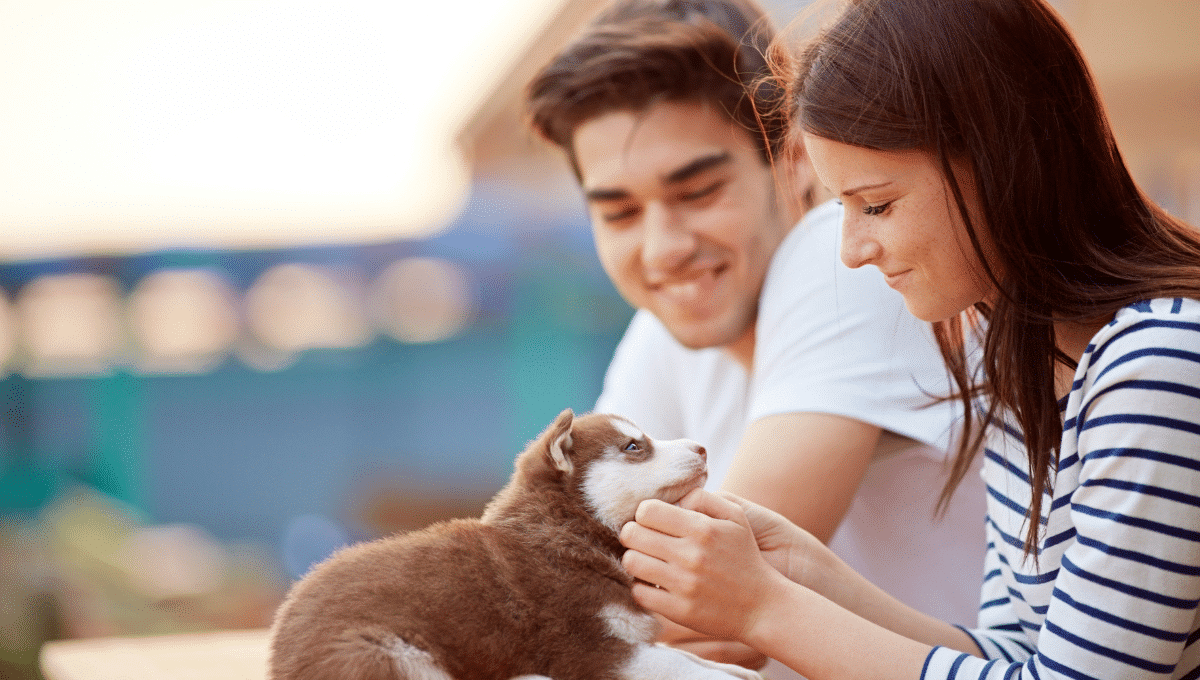 comment-parler-a-son-chien