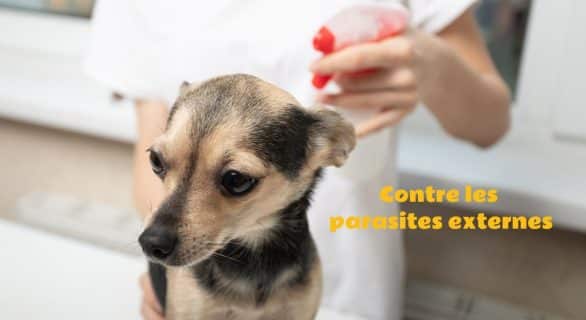 spray contre les parasites externes pour les chiens et chats