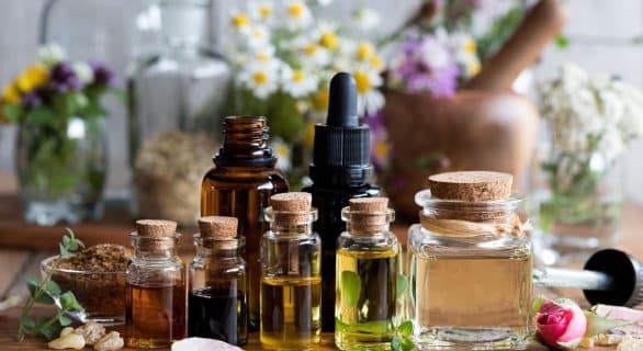 Huiles essentielles (HE) pour chien et chat