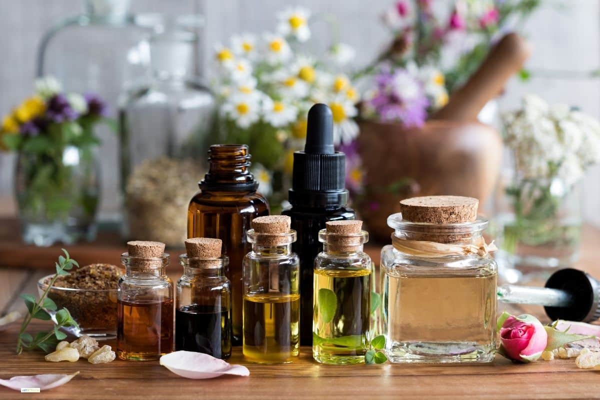 Huiles essentielles (HE) pour chien et chat