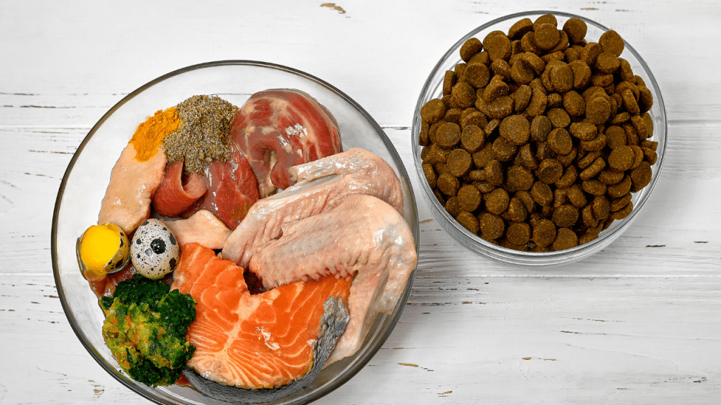 Adapter la ration de protéine pour les chiens en insuffisance rénale