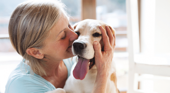 chien-et-senior-bienfaits