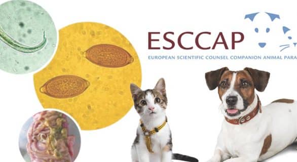 ESCCAP, les experts des parasites en Europe et en France