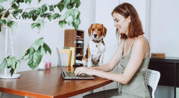 Stress-dela-rentree-chez-le-chien