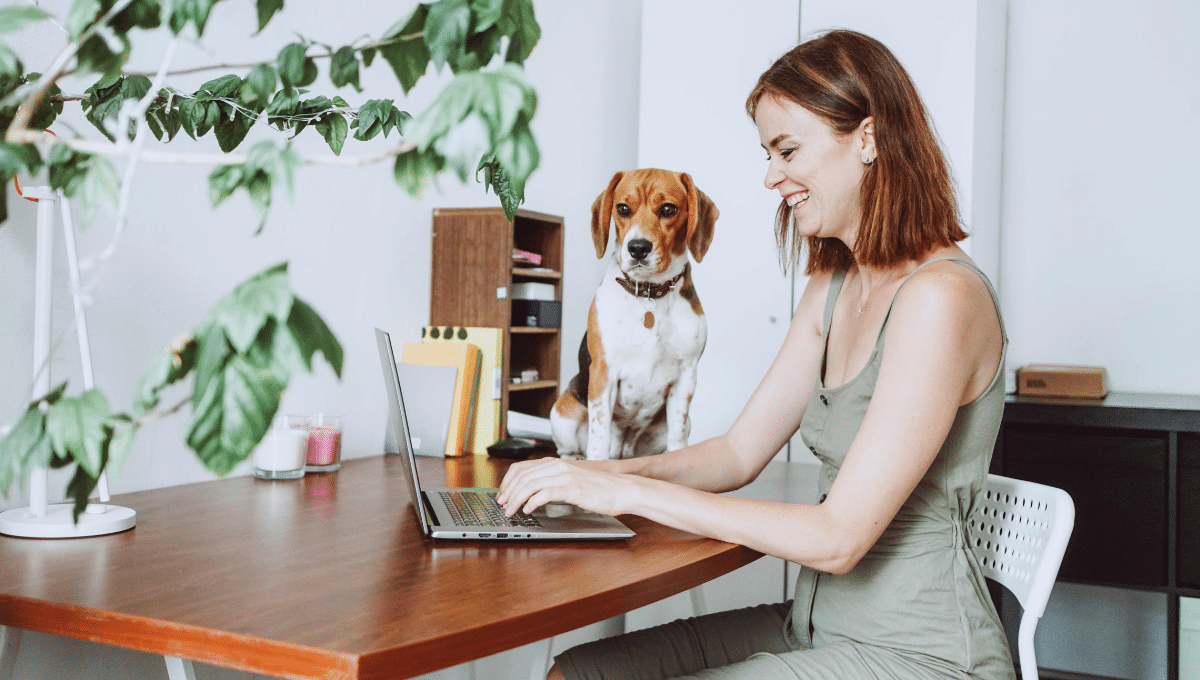 Stress-dela-rentree-chez-le-chien