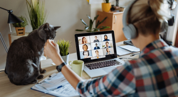 chat-et-teletravail