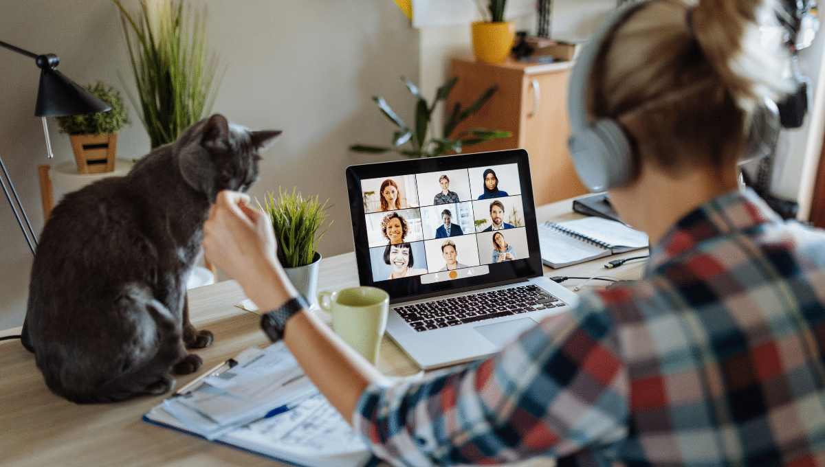 chat-et-teletravail