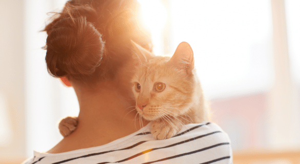 chat-reconnait-il-votre-odeur