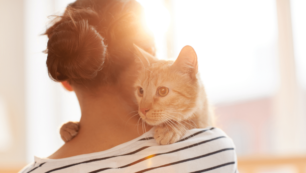 chat-reconnait-il-votre-odeur