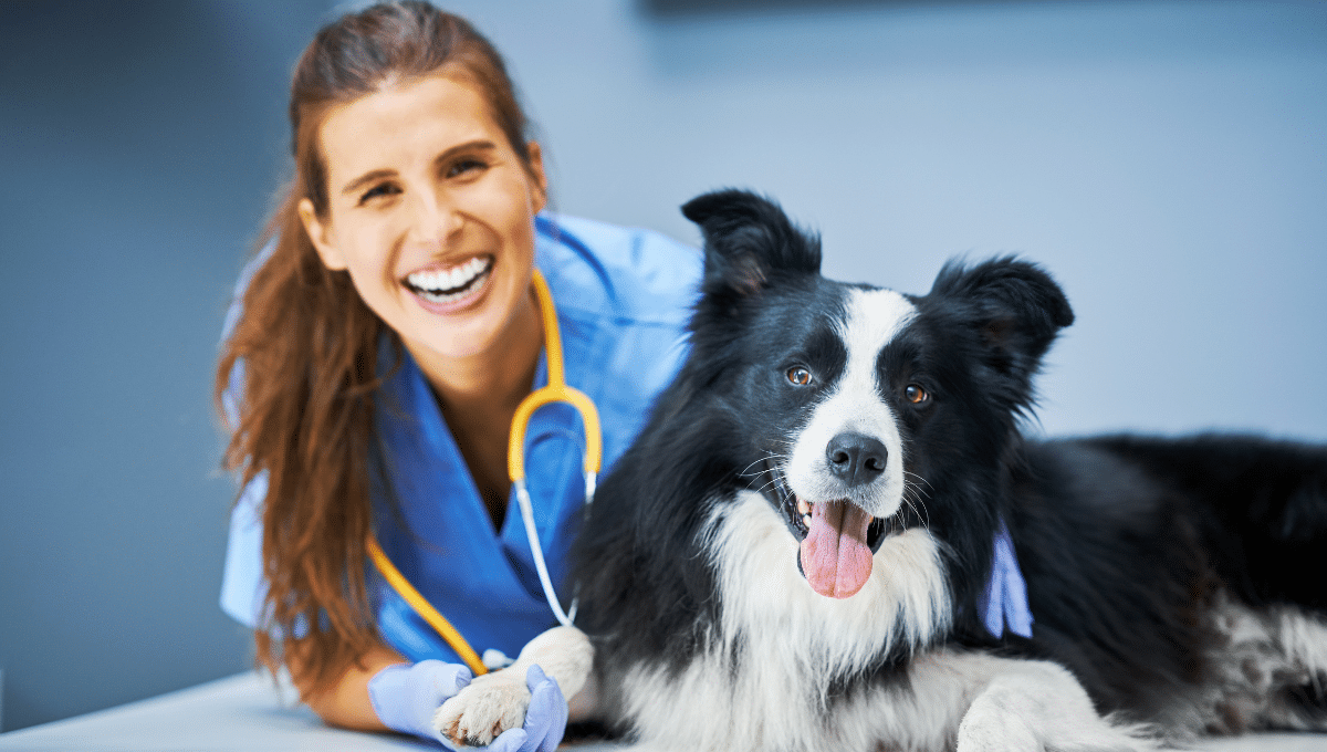 calmer-aboiements-du-chien