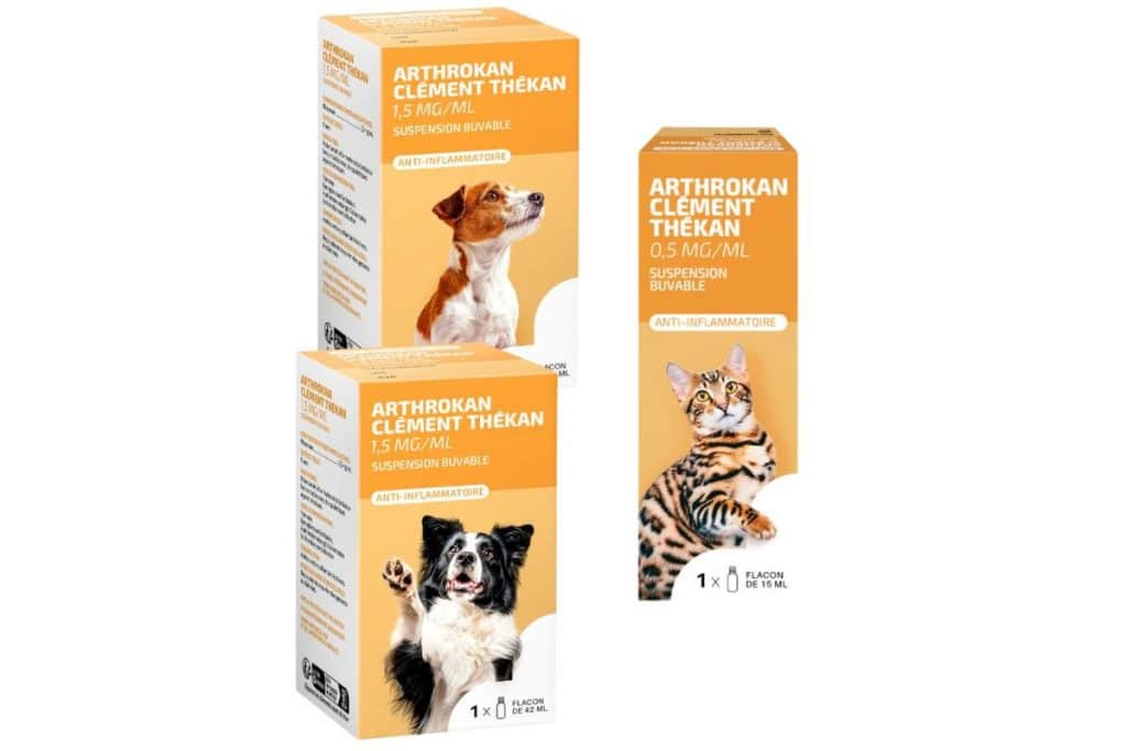 Arthrokan chien et chat Clément Thékan 