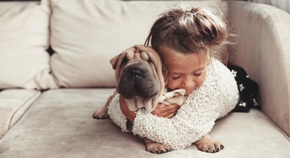 attachement-canin