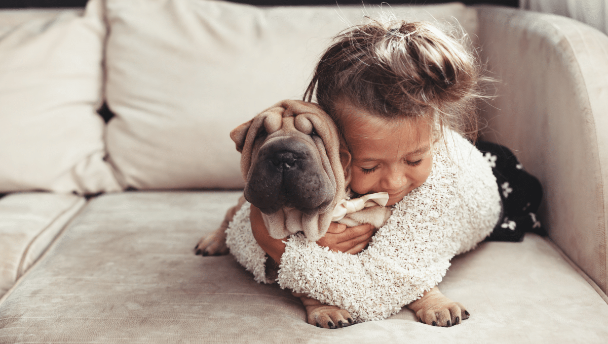 attachement-canin