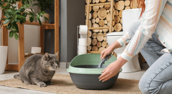 urine-chat