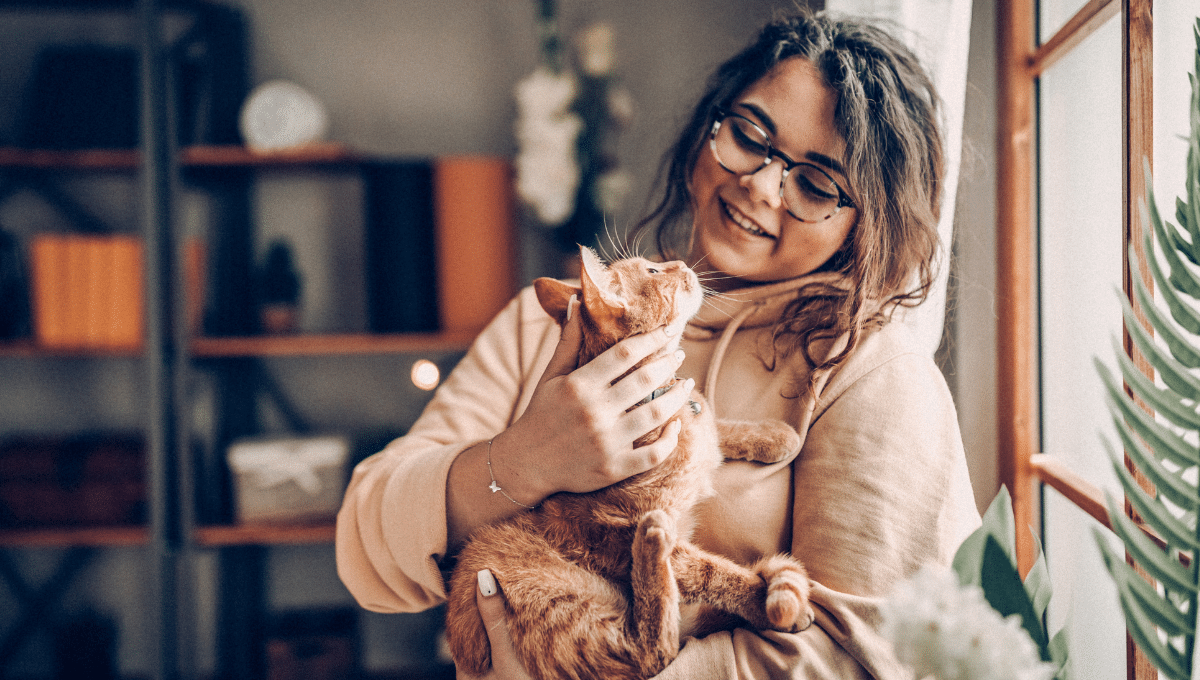 chat-bienfaits-cerveau