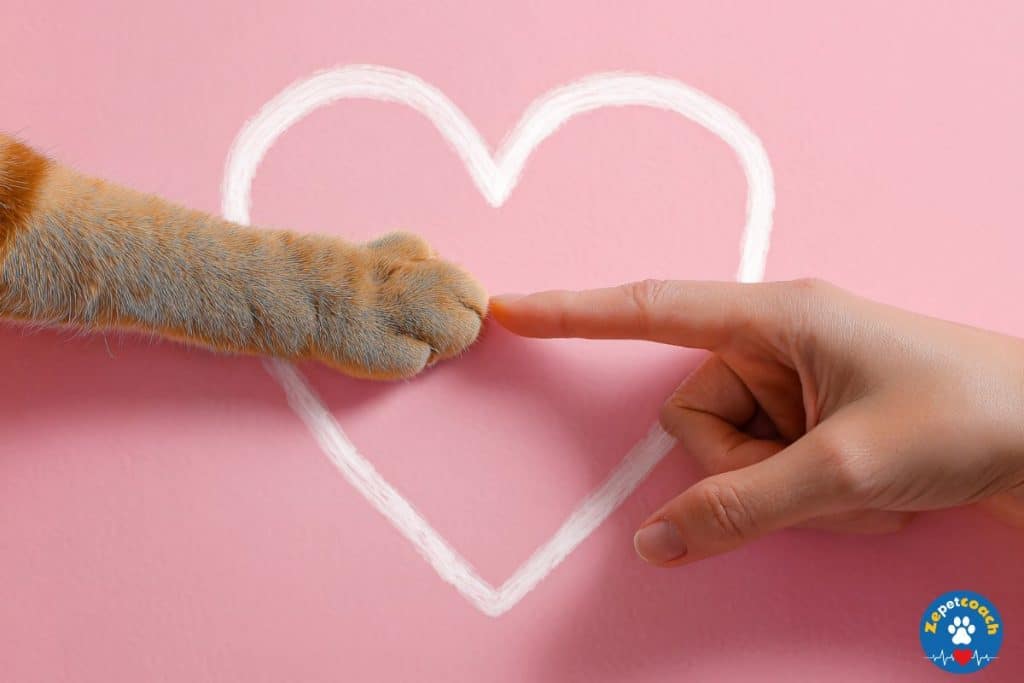 95% des Français estiment que leur animal de compagnie améliore leur santé mentale