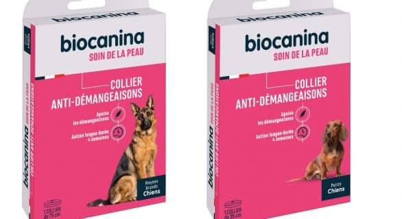 Biocanina collier antidémengeaisons