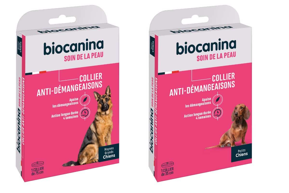 Poudre à Démanger – 10 Sachets – Farce Inoffensive – Anniversaire, Poisson D'avril, Halloween – Démangeaisons Passagères – 50g