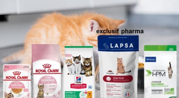 nutrition chat stérilisé