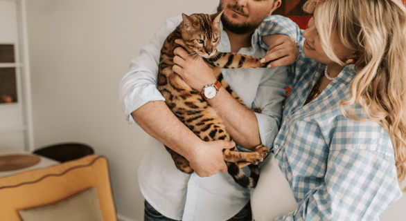 Coryza du chat : comprendre cette maladie infectieuse féline