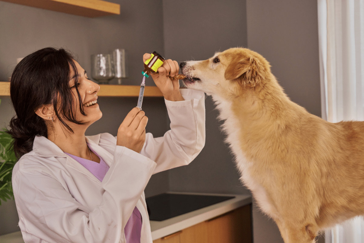 la vaccination antirabique