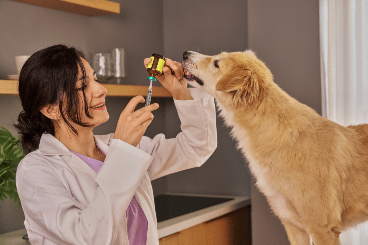 vaccination contre la leptospirose