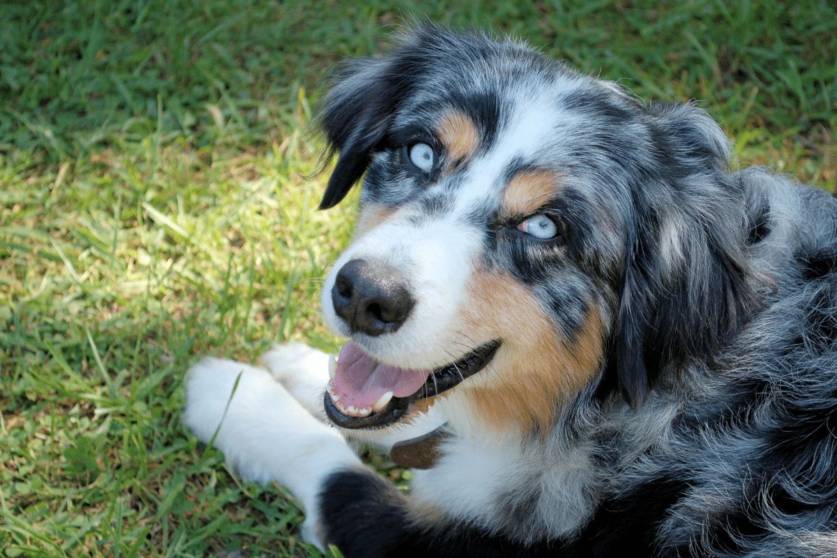 Adapter la routine pour répondre aux besoins de dépense physique