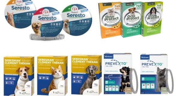 Nouveaux colliers antiparasitaires longue durée à prix réduit