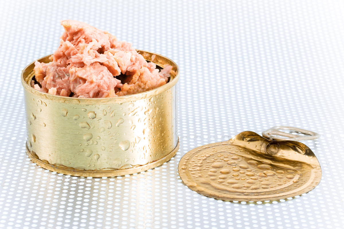 thons en boîte pour chien