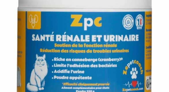 ZPC Santé rénale et urinaire