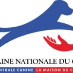 Semaine nationale du chien du 26 septembre au 4 octobre